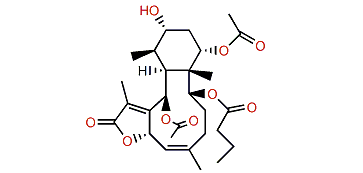 Briareolide G